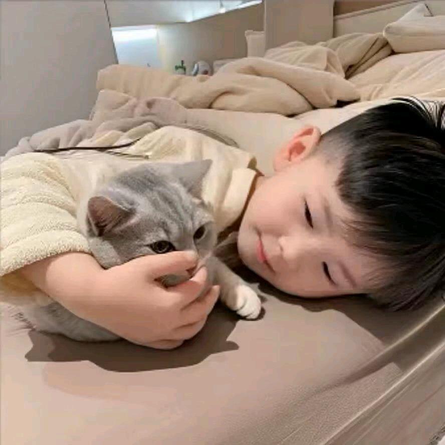 抓走      鹏鹏