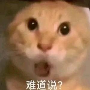 CS2桑葚