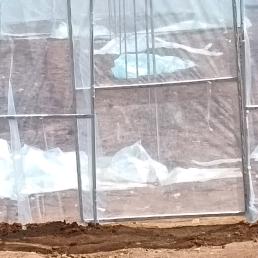 没有人要的男人!