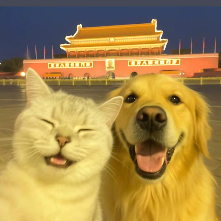 博