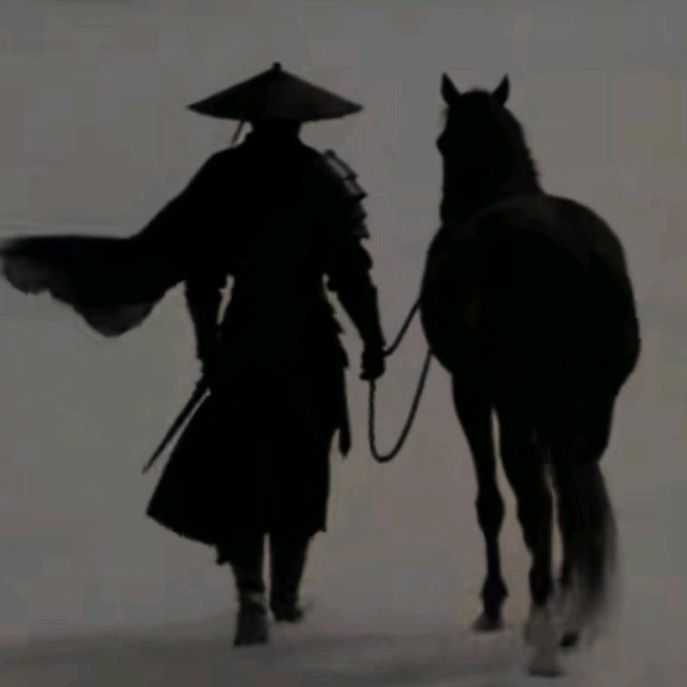 全屋定制安装