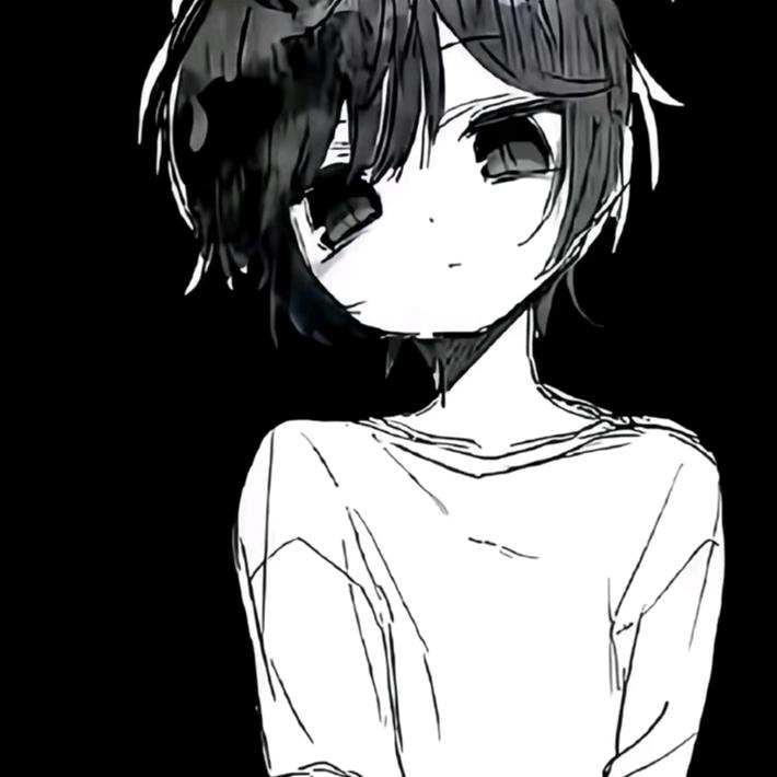呆呆博