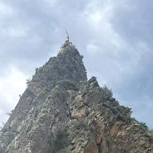 缘来🙏缘去