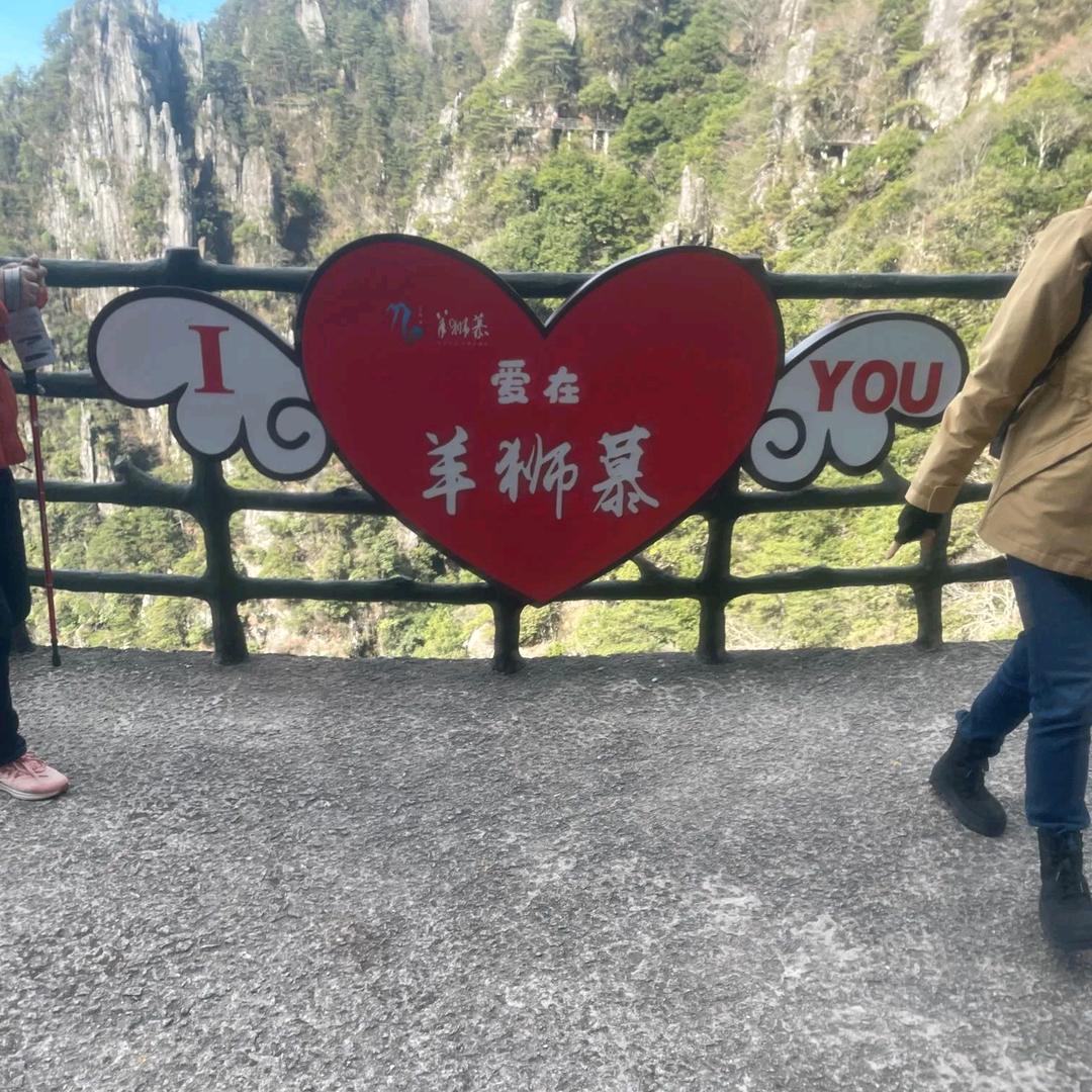 待宰的羔羊（关注必回）