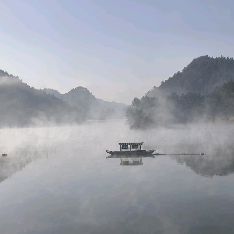 召市野无贤（飛魚）