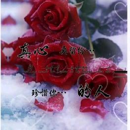 💎✨带刺玫瑰✨