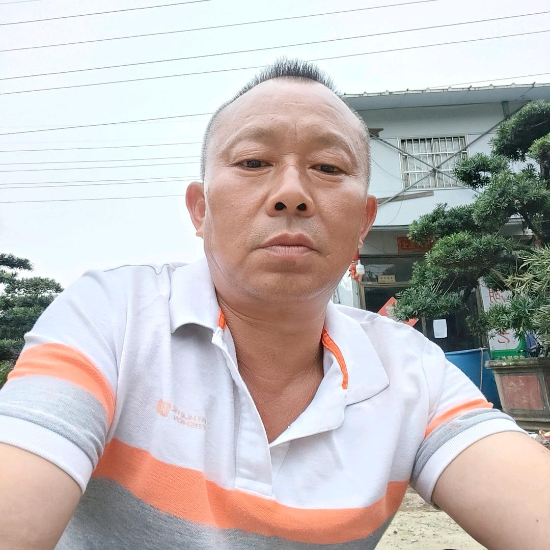 绿湖园艺罗汉松批发