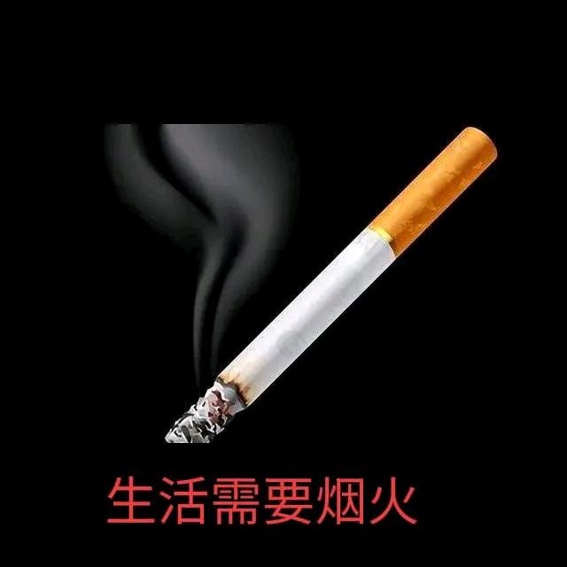总有一天我当家
