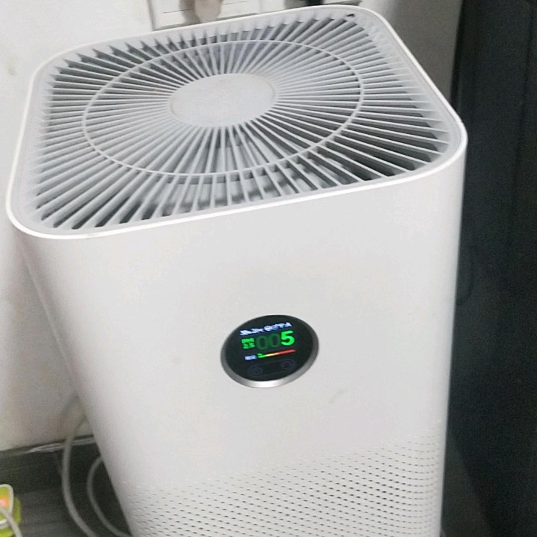 七点半