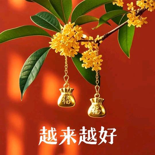 可馨