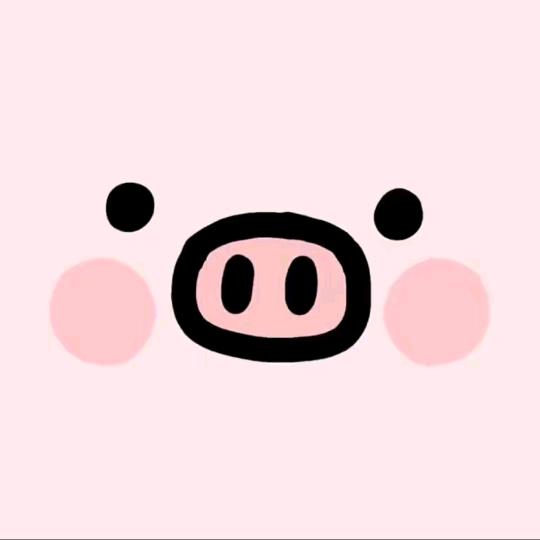 小刘ski听