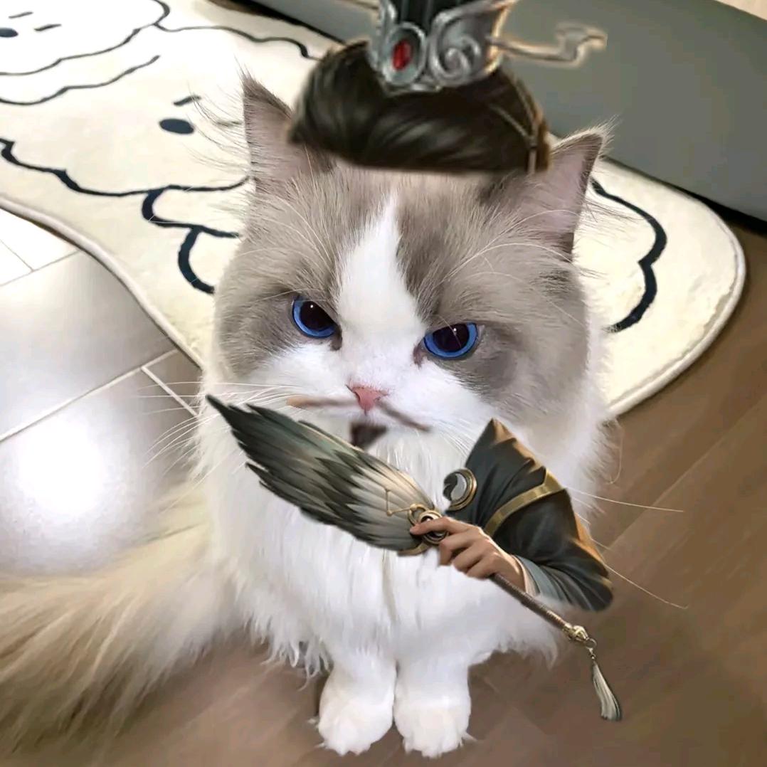 贝吉塔