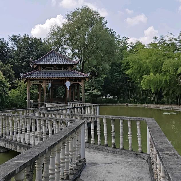 天池三号贵州桐梓避暑房小叶