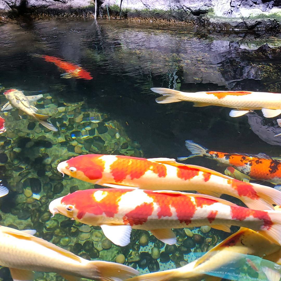 谁懂我的心拒绝私聊