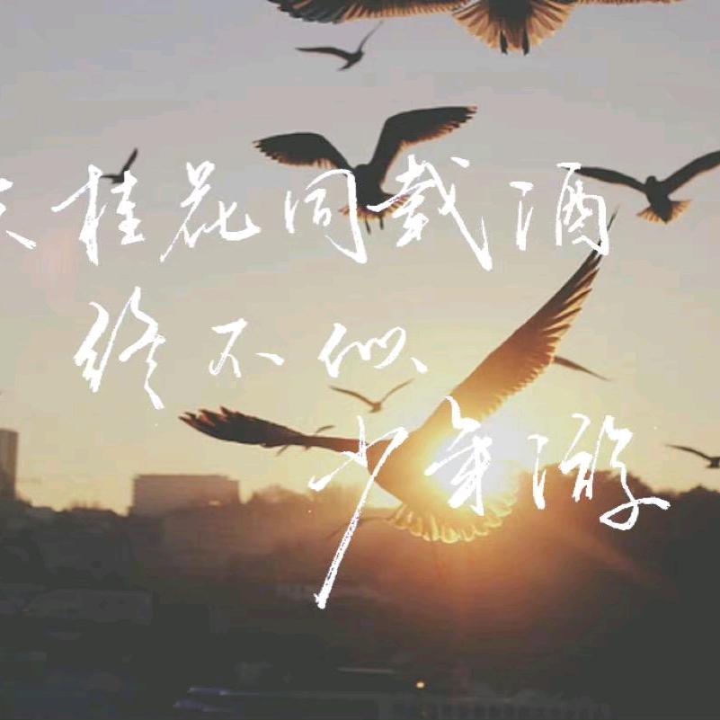 📸没头脑