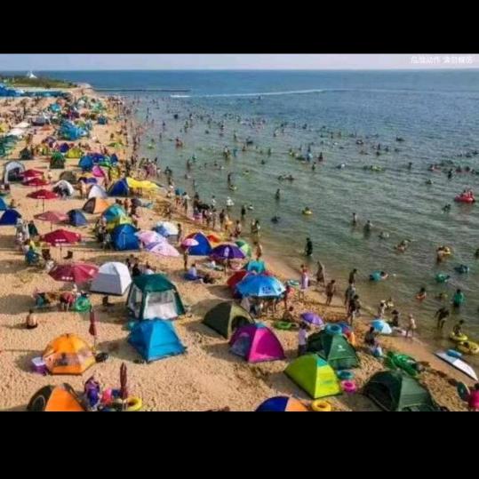 傻子（抑郁的心）浪迹天涯