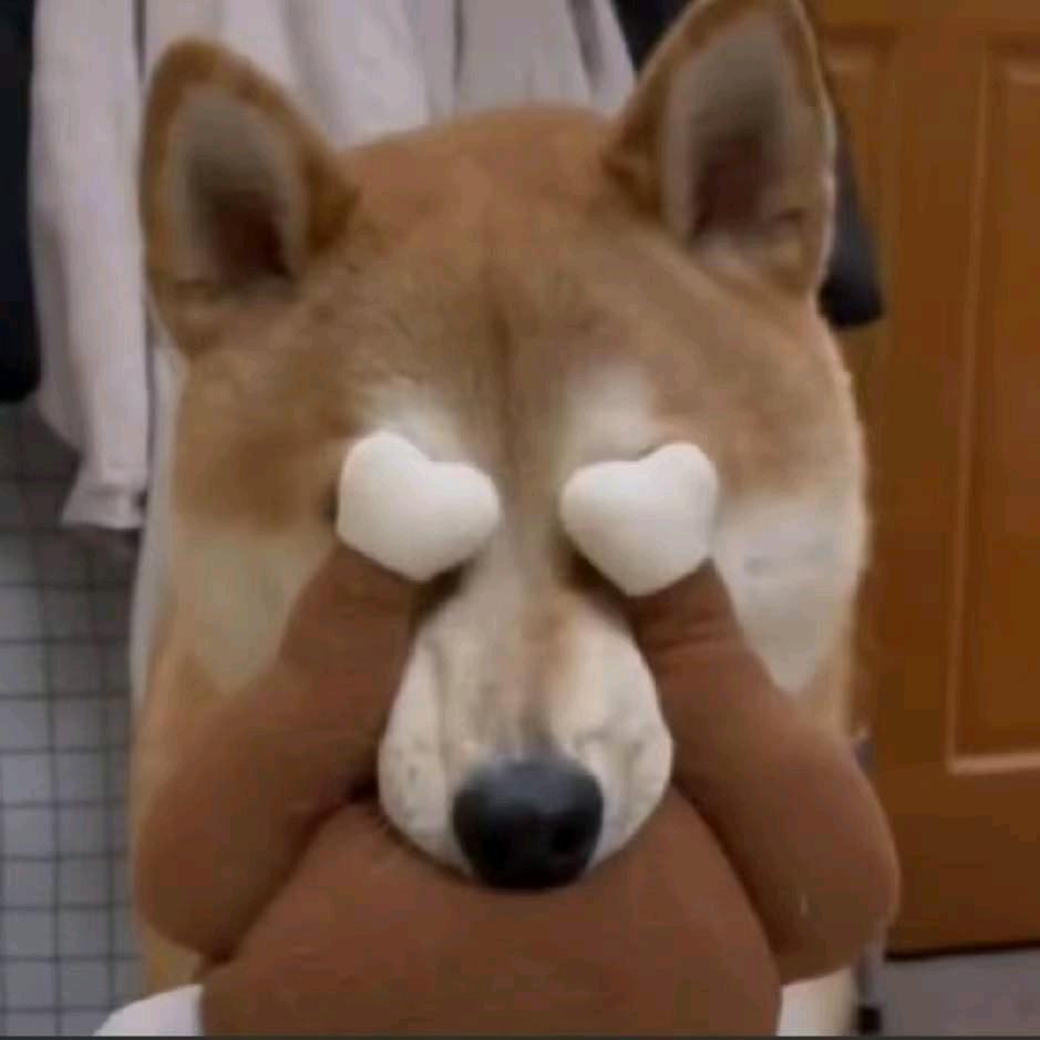 华侨大学万能学长