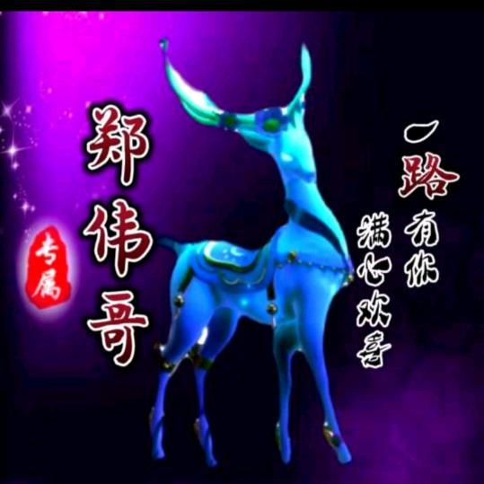 郑🚔哥