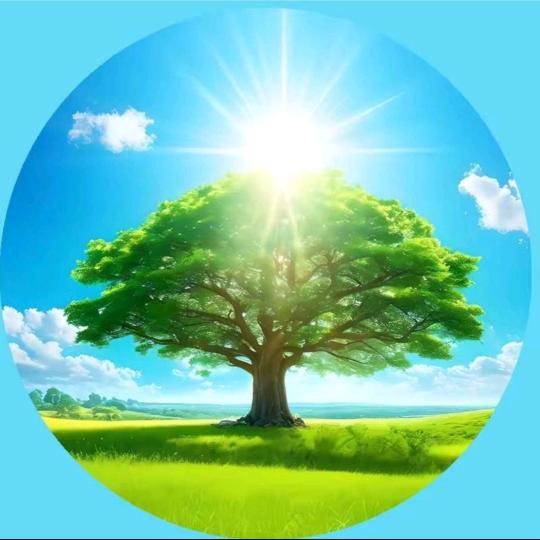 阳光老李越来越好👌🏻