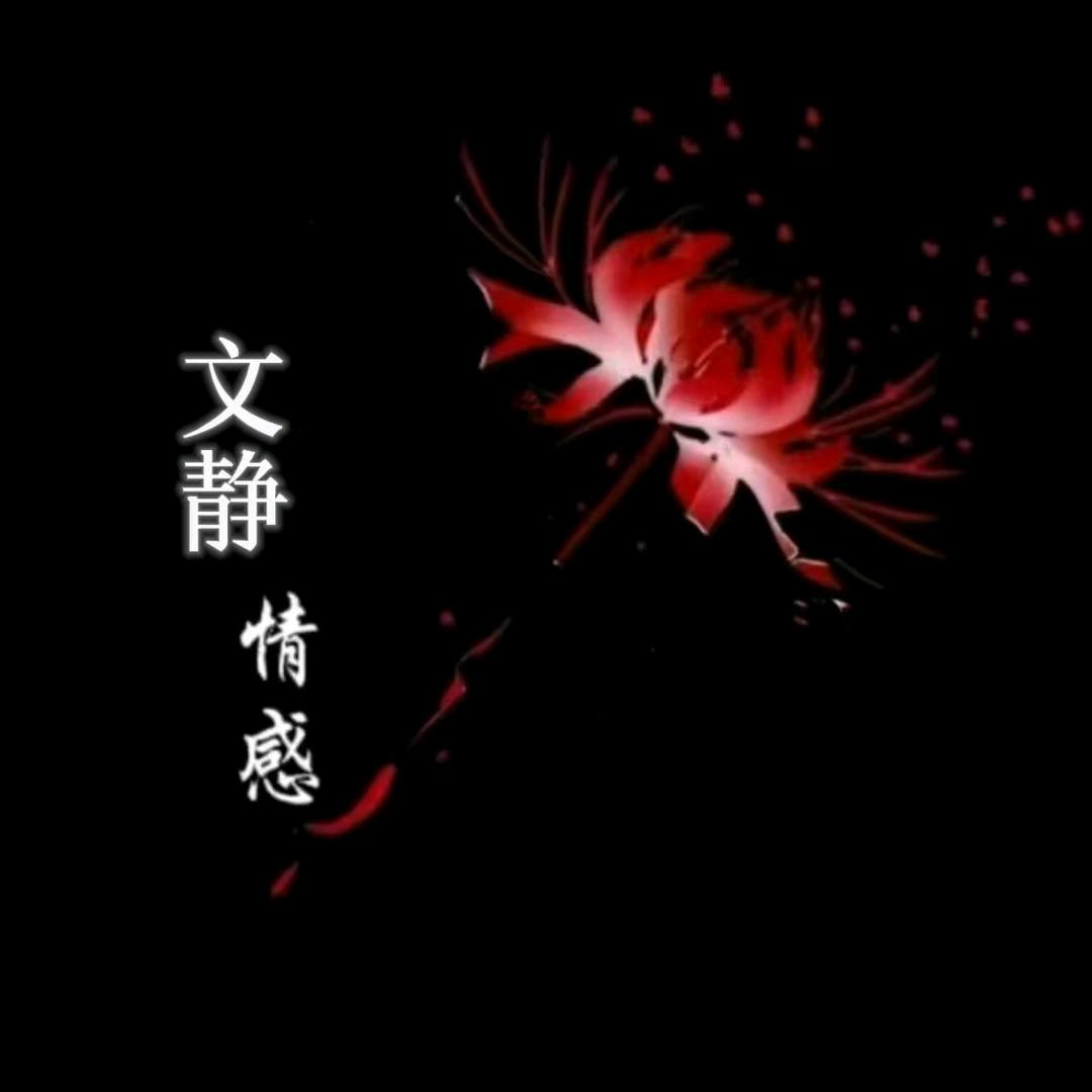文静情感
