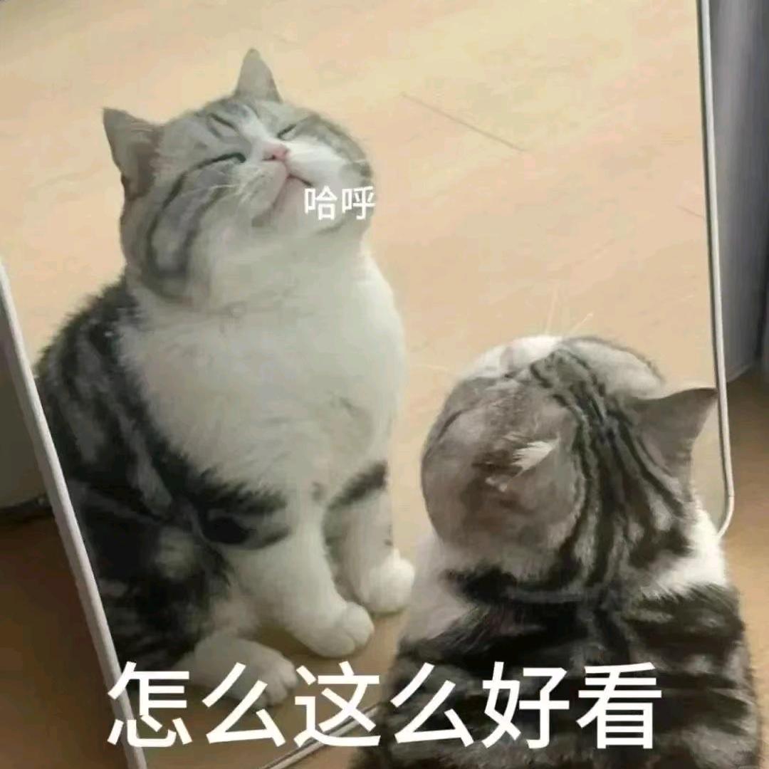 神婆蛊之--邪恶毛毛虫