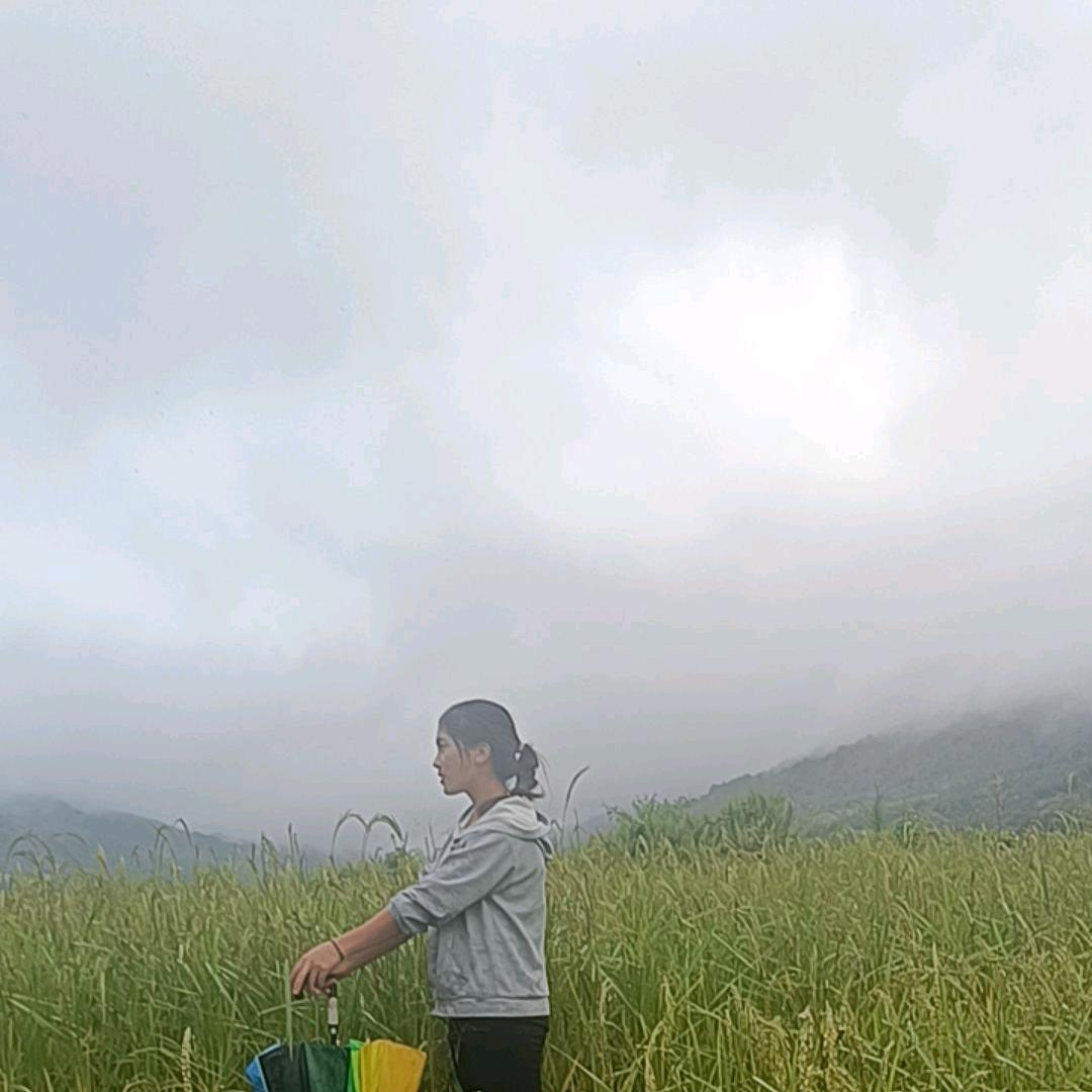 💞ℳღ᭄艳姐ꦿ꯭꧔💞（勿扰）