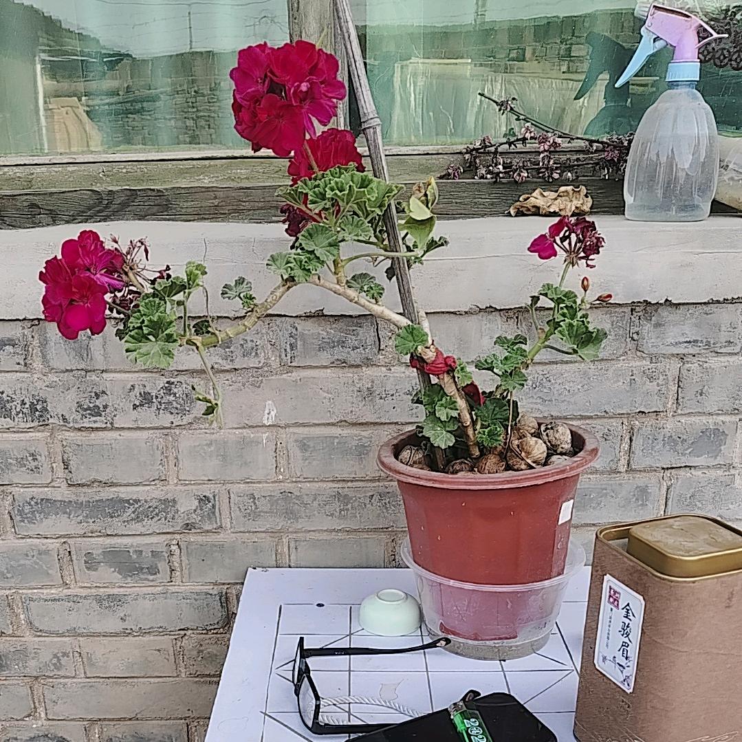 (秋风月)