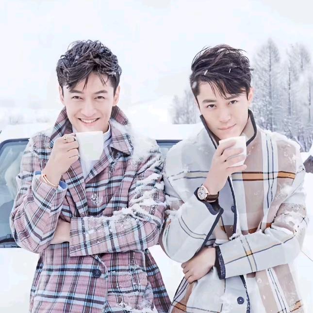 《       自由       》