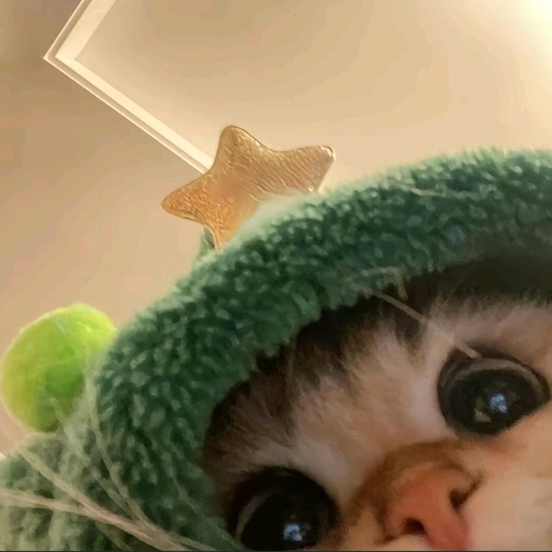 𝙔𝙞𝘼𝙤
