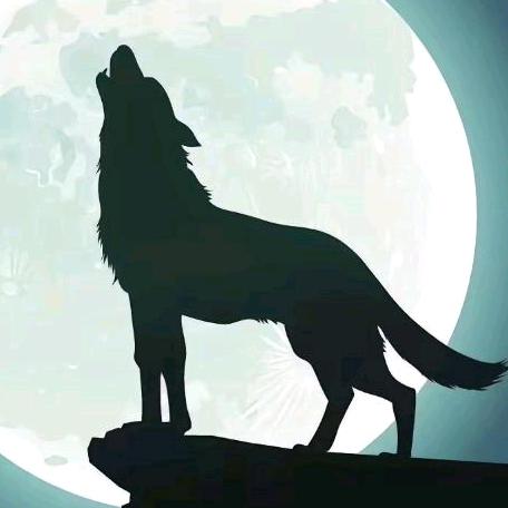 独狼🇨🇳🇭🇰