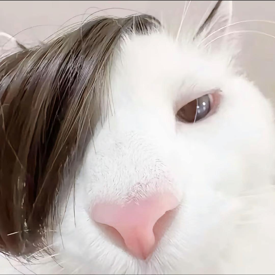 V。