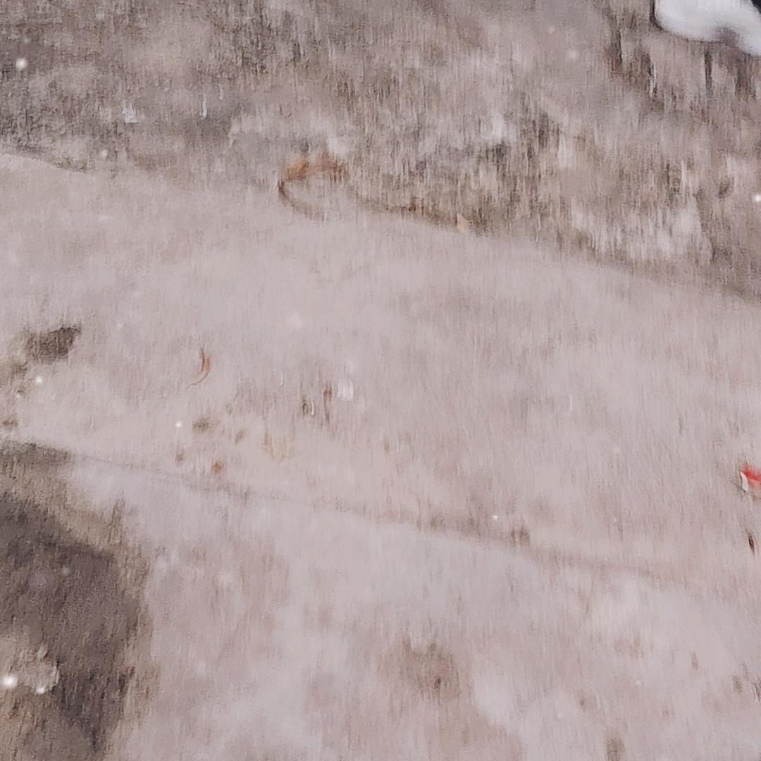嘿，夏天