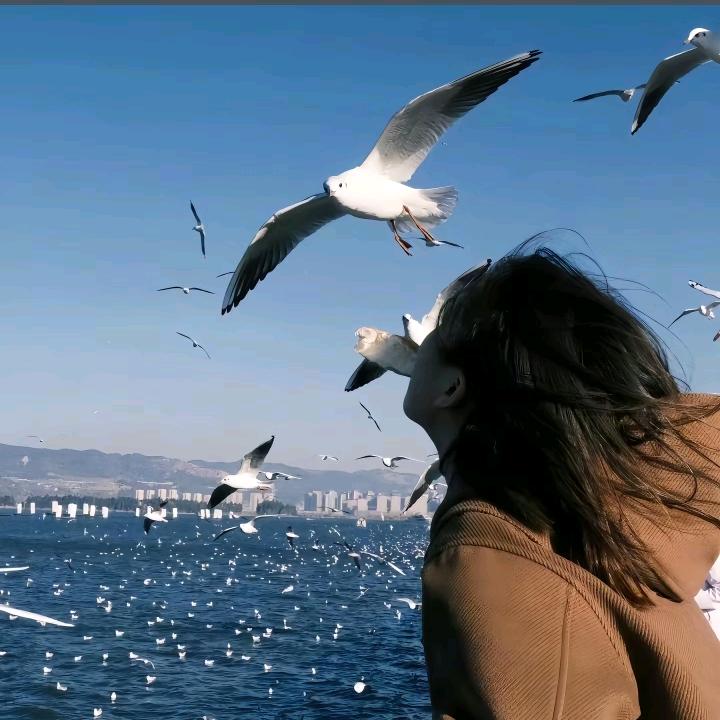 卷卷优选