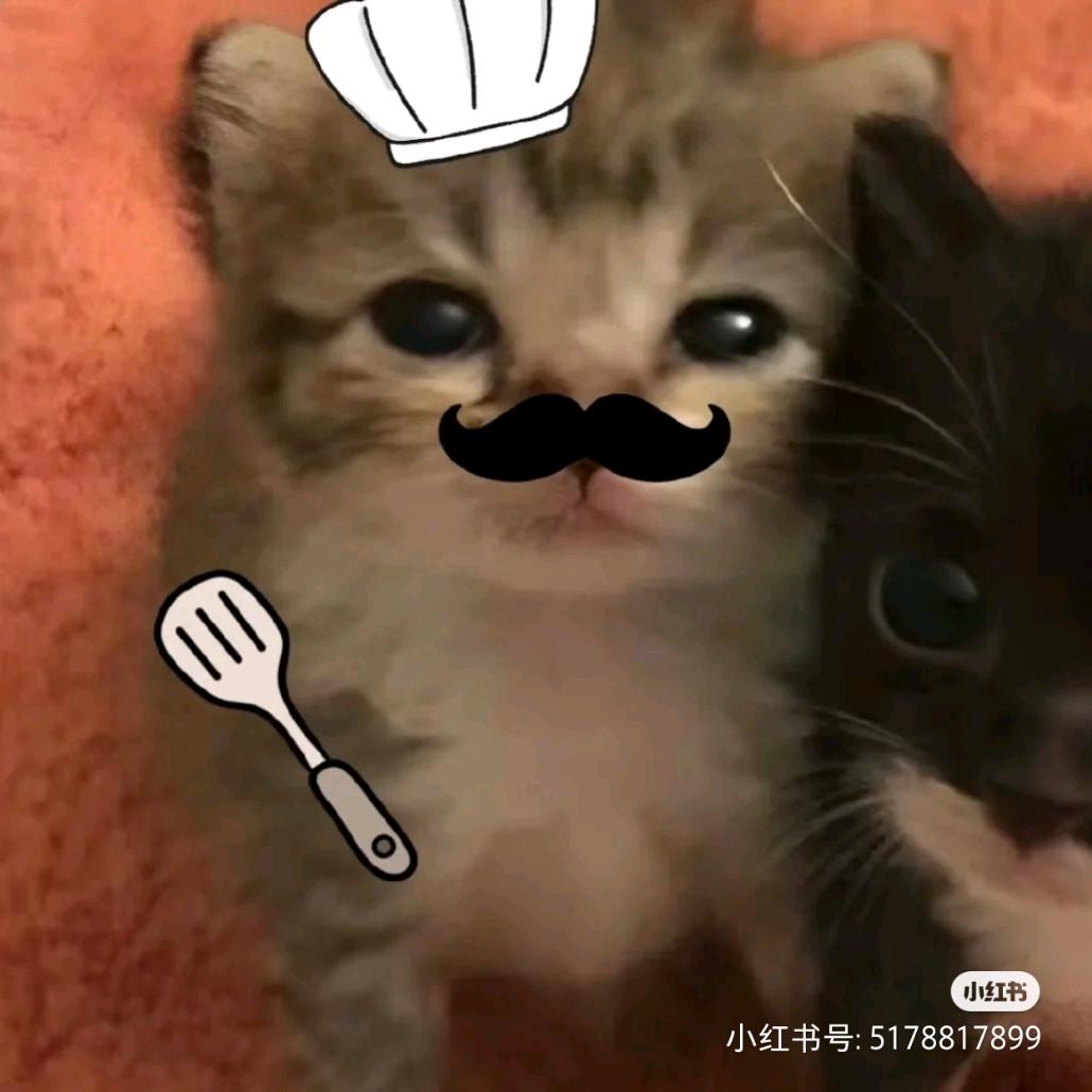 料理猫饭
