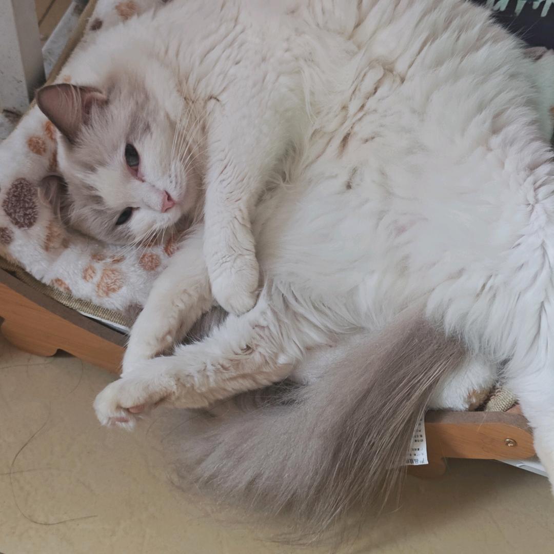 厦门网约车叶师傅（体验有没坑）