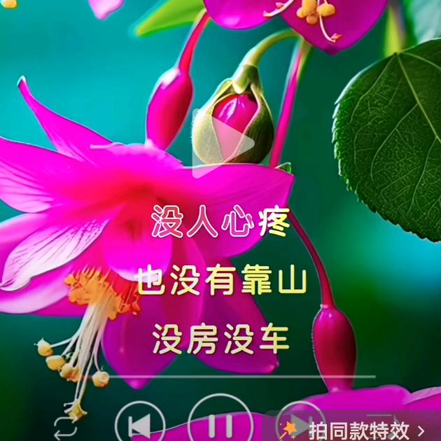 你若盛开