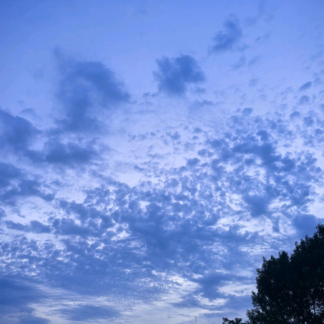 沧笙踏歌