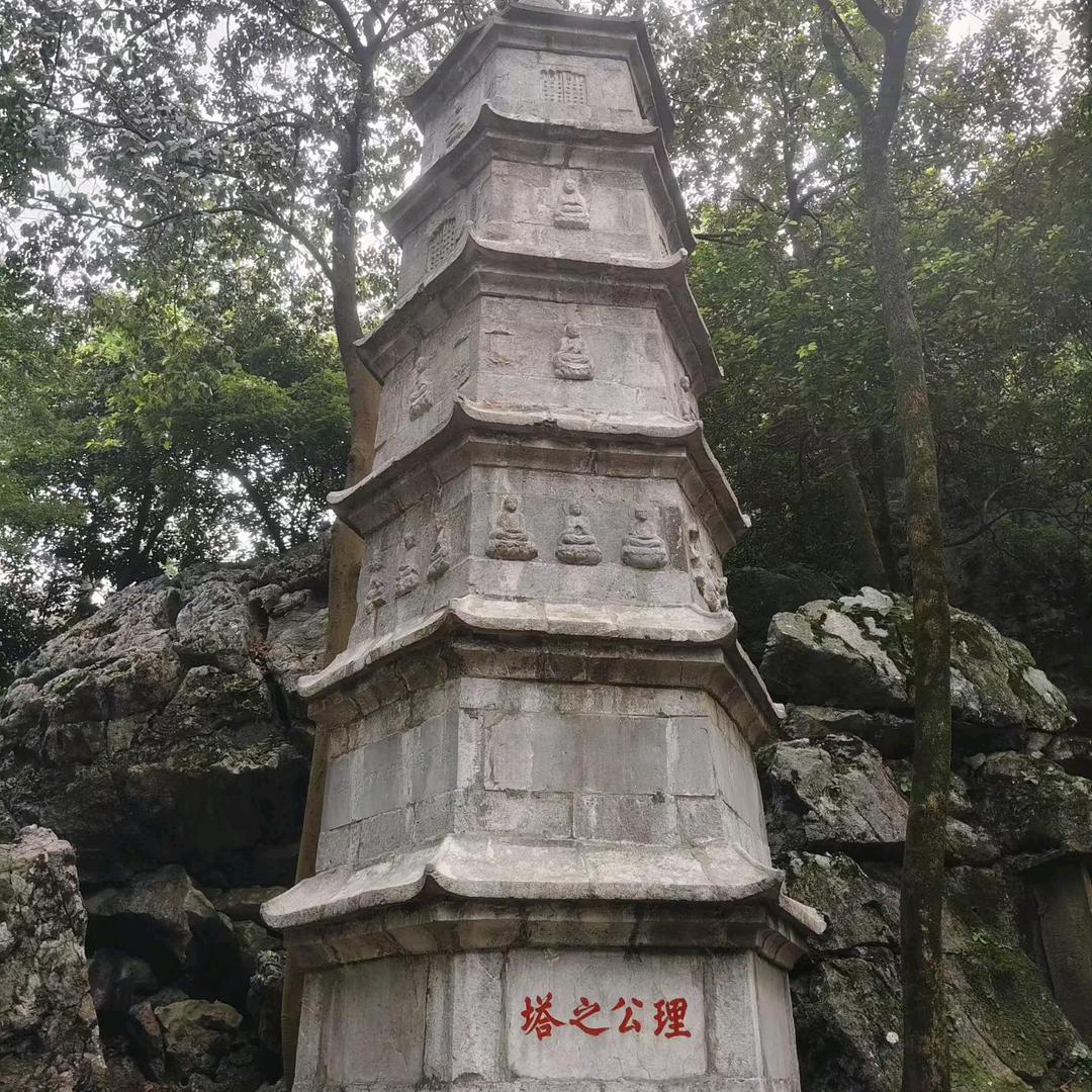 花开忘忧草～