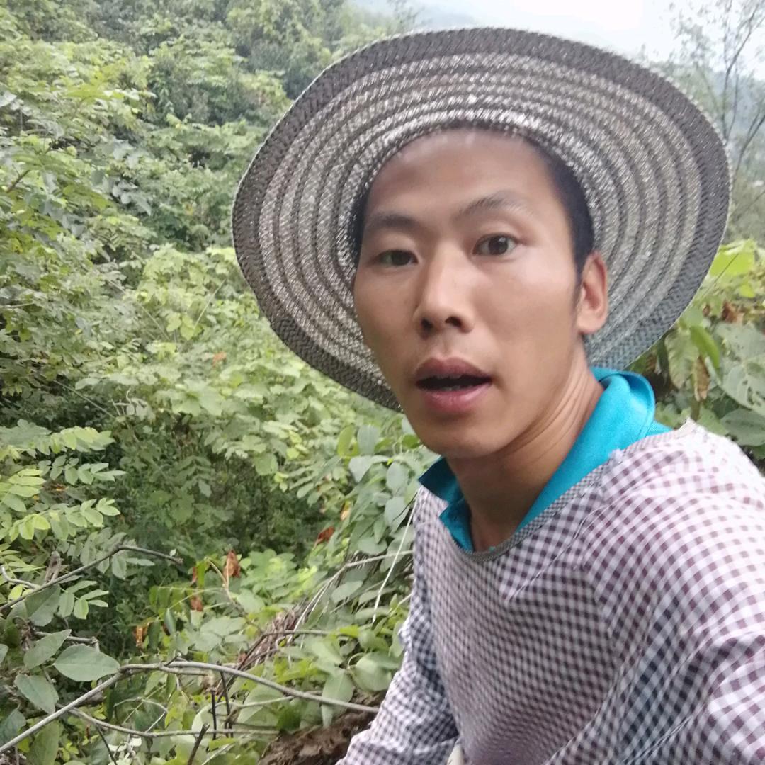 高压锅