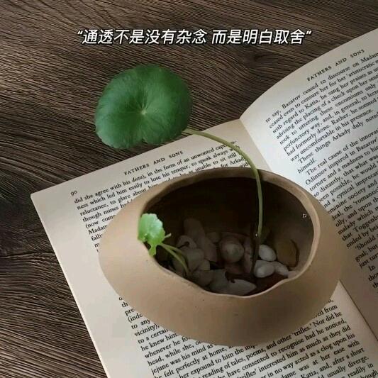 南飞雁