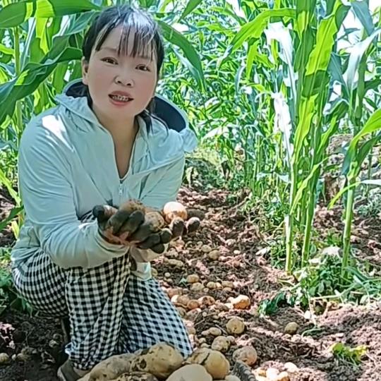 英英(恩施农村山货)