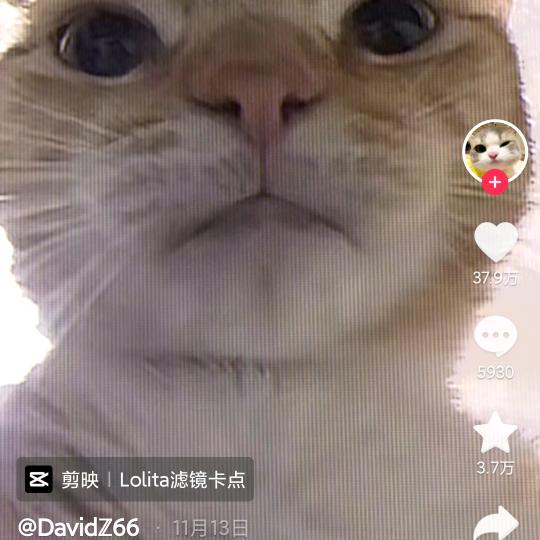 小八和平精英