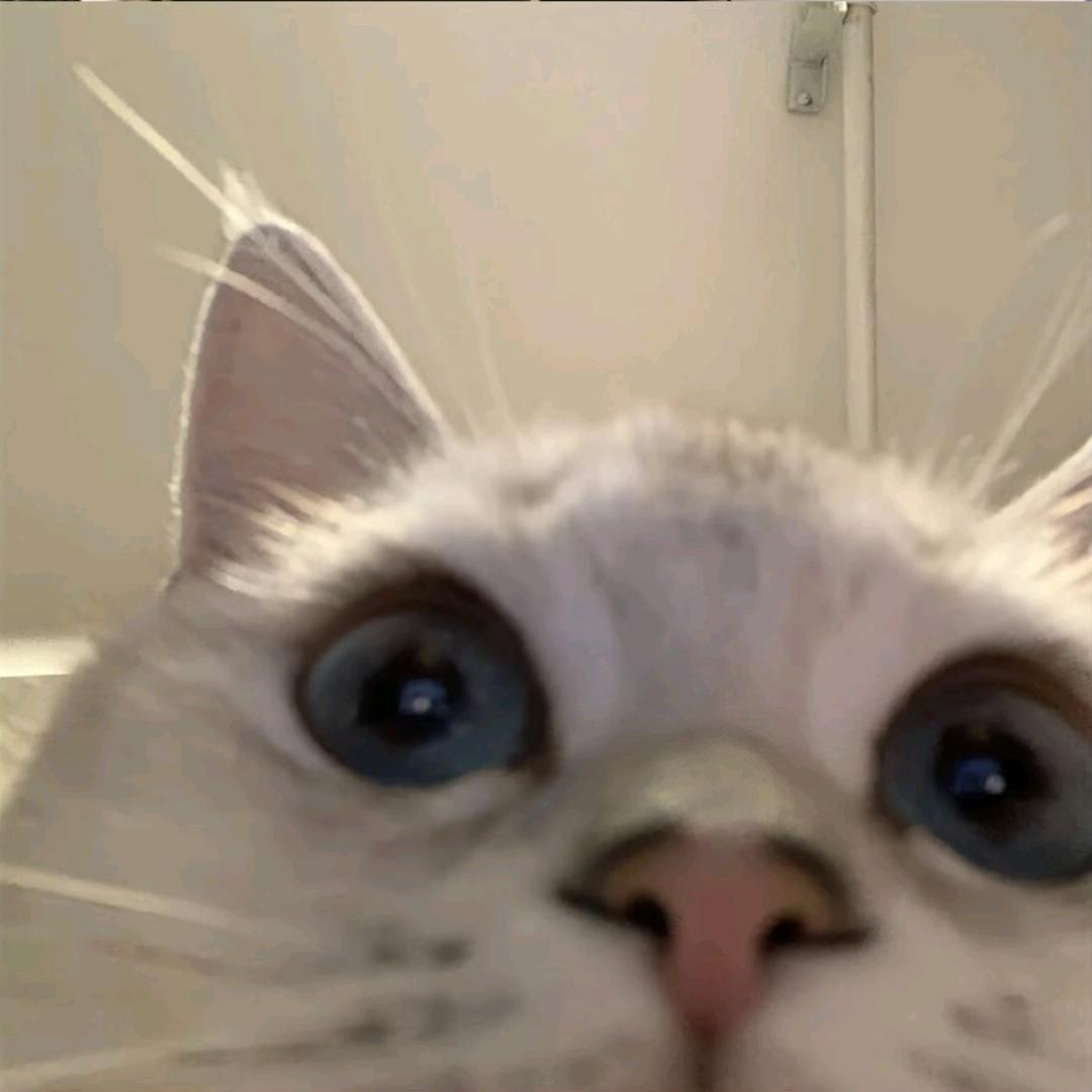 小不点.