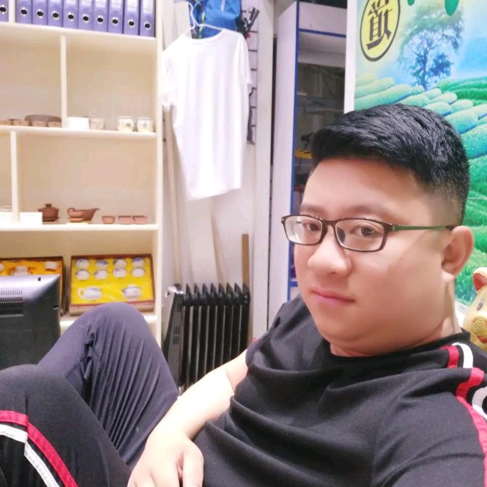 劉發財 监控探头