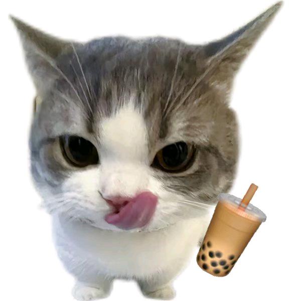 佩奇啵啵