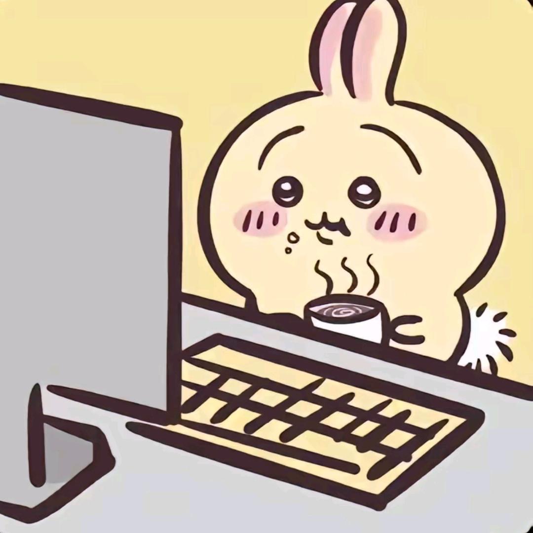 桃派（恩师Usagi）