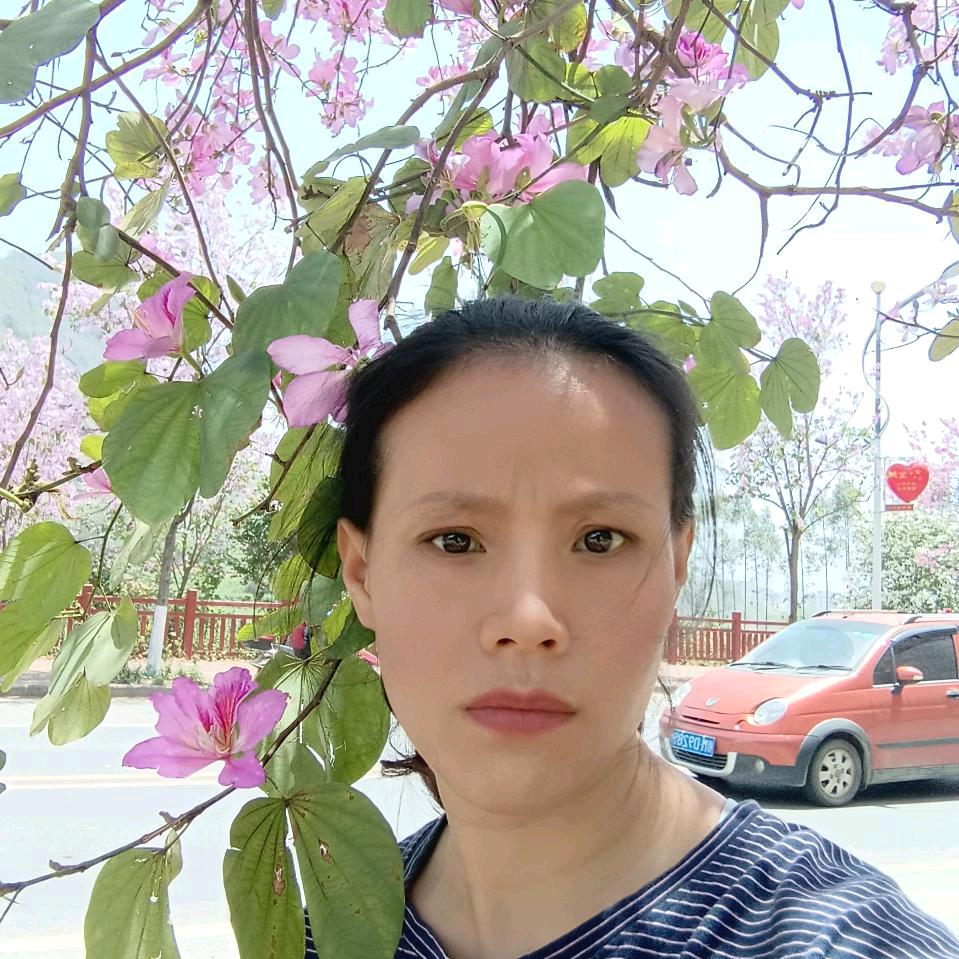 努力吧妹