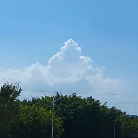 不属于这个世界的射手