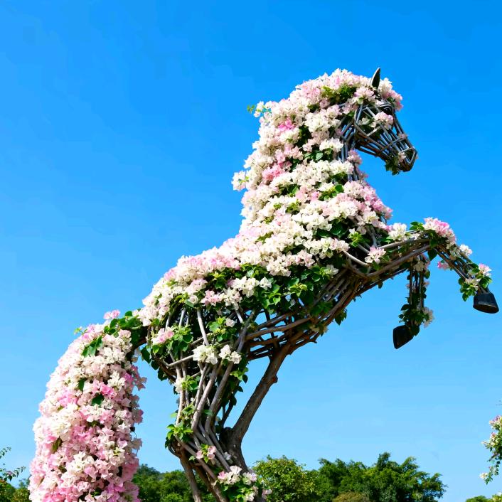 勇闯天涯A
