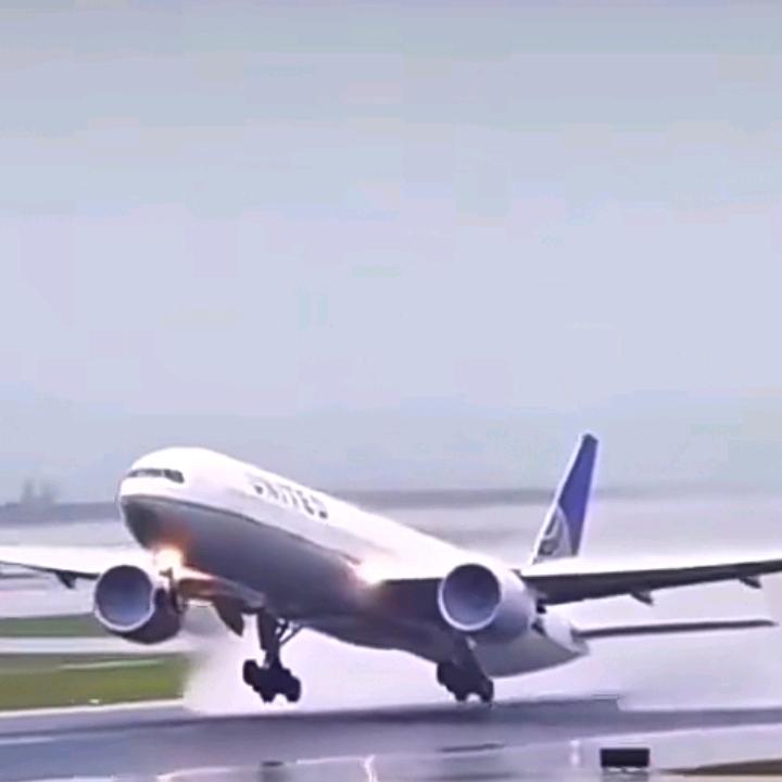 一往情深